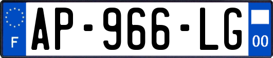 AP-966-LG