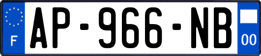 AP-966-NB