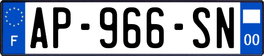 AP-966-SN