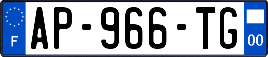 AP-966-TG