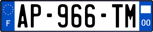 AP-966-TM
