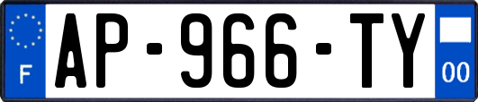 AP-966-TY