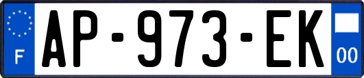 AP-973-EK