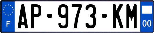 AP-973-KM
