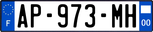 AP-973-MH