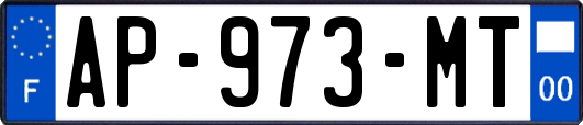 AP-973-MT