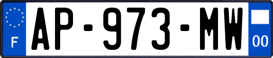 AP-973-MW