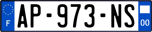 AP-973-NS