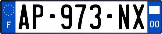 AP-973-NX