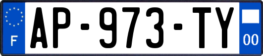AP-973-TY