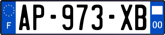 AP-973-XB