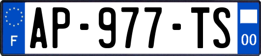 AP-977-TS