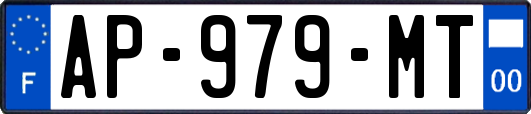 AP-979-MT