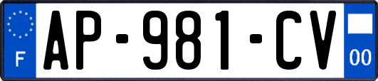 AP-981-CV