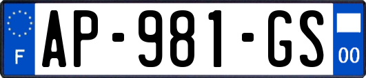 AP-981-GS