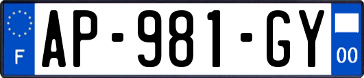 AP-981-GY