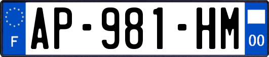 AP-981-HM