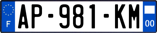AP-981-KM