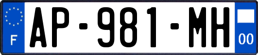 AP-981-MH