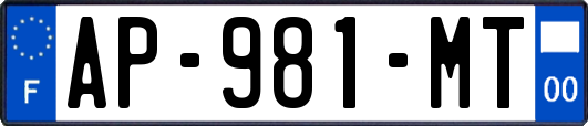 AP-981-MT