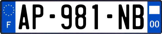 AP-981-NB