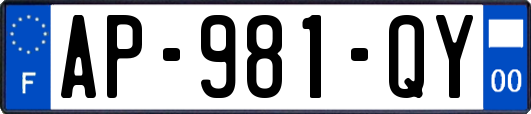 AP-981-QY