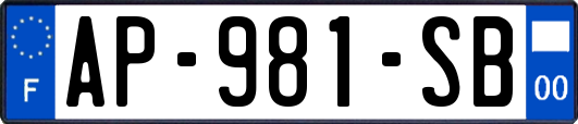 AP-981-SB