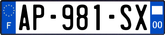 AP-981-SX