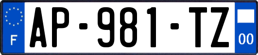 AP-981-TZ