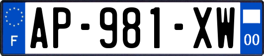 AP-981-XW