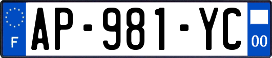 AP-981-YC