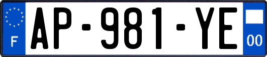 AP-981-YE