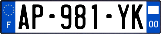 AP-981-YK