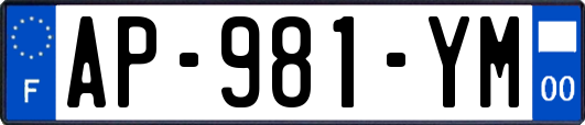 AP-981-YM