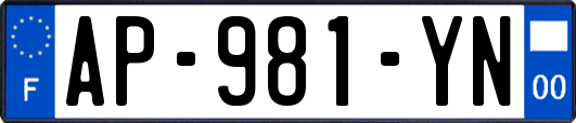 AP-981-YN