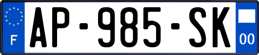 AP-985-SK