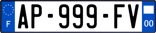 AP-999-FV