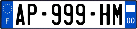 AP-999-HM