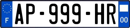 AP-999-HR