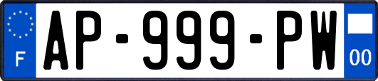 AP-999-PW