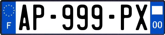 AP-999-PX