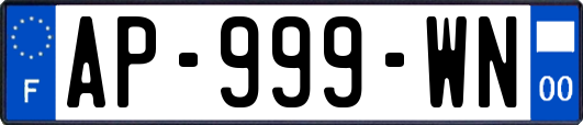 AP-999-WN