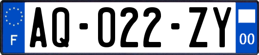 AQ-022-ZY