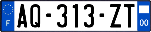 AQ-313-ZT