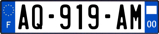 AQ-919-AM