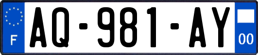 AQ-981-AY