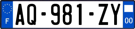 AQ-981-ZY