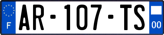 AR-107-TS