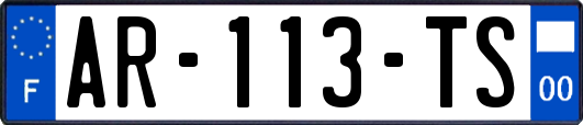 AR-113-TS