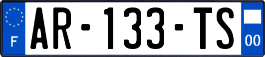 AR-133-TS